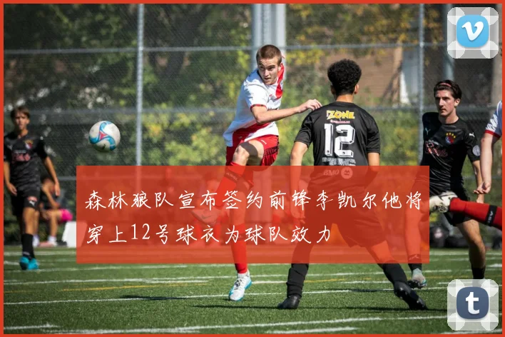 森林狼队宣布签约前锋李凯尔他将穿上12号球衣为球队效力