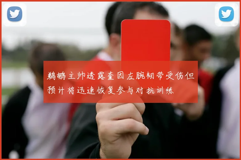 鹈鹕主帅透露奎因左腕韧带受伤但预计将迅速恢复参与对抗训练
