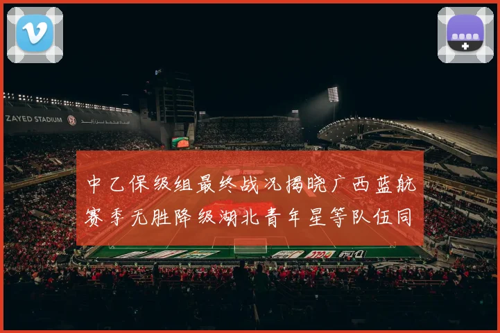 中乙保级组最终战况揭晓广西蓝航赛季无胜降级湖北青年星等队伍同遭降级